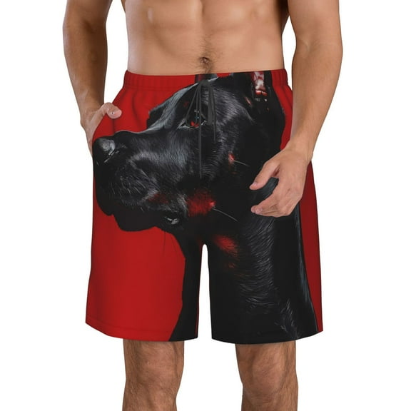 Vsdgher Black Dog Red Background Men's Beach Shorts, Surfing shorts, Swim trunks, Quick Dry Swim Trunks for Surfing Beach Fun -3X-Large