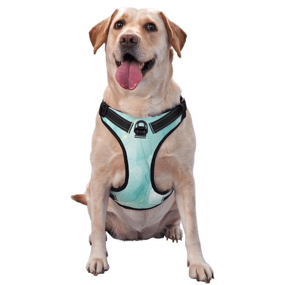 Vsdgher Blue Marble Pattern Dog Harness,No Pull Pet Harness with Soft Padded Handle,Adjustable Reflective Vest with 2 Buckles,4 Slide Buckles,S-XL