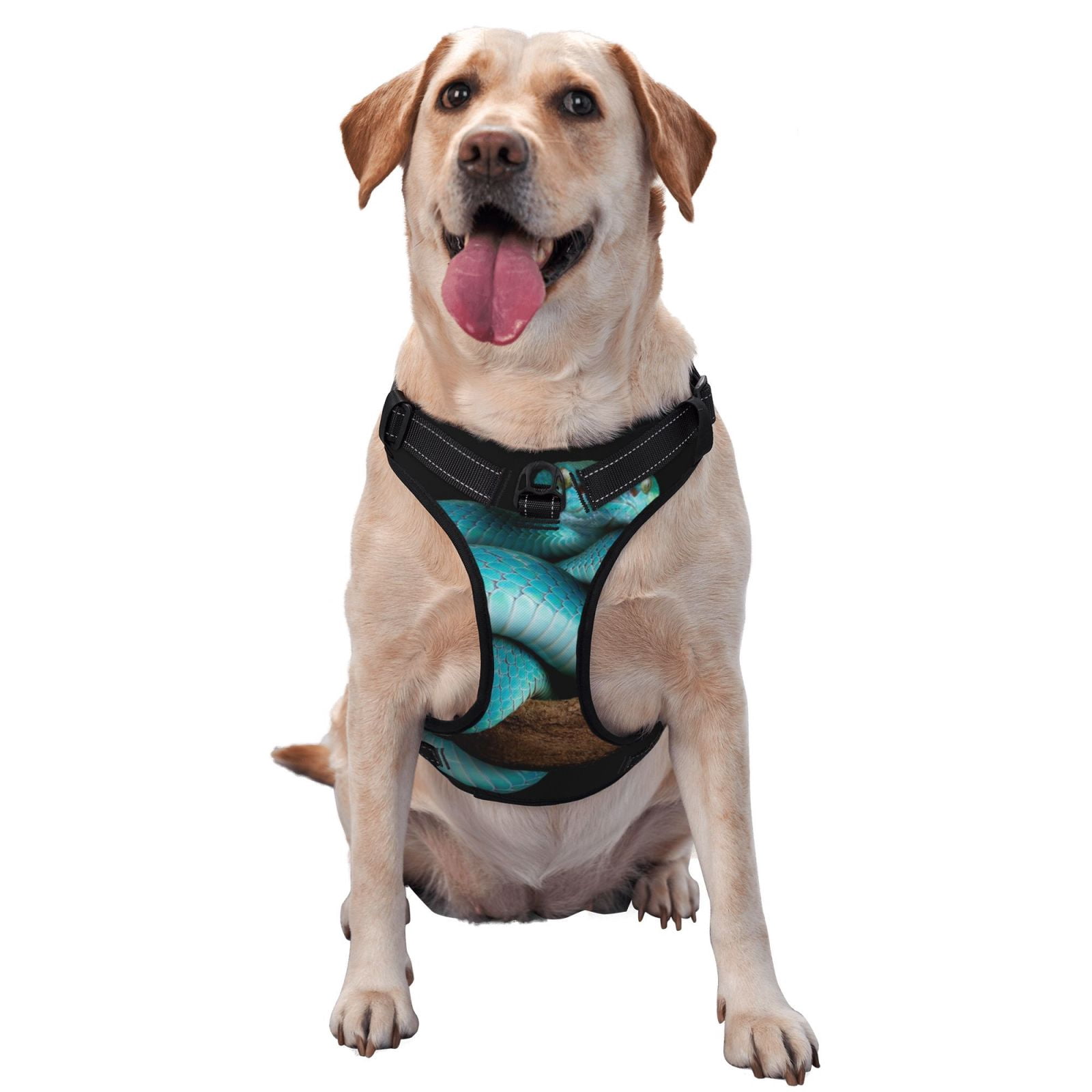 Vsdgher Blue Viper Snake Dog Harness, No-Pull Pet Harness, Dog Vest, Pet Vest for Small to Large Dogs-Medium