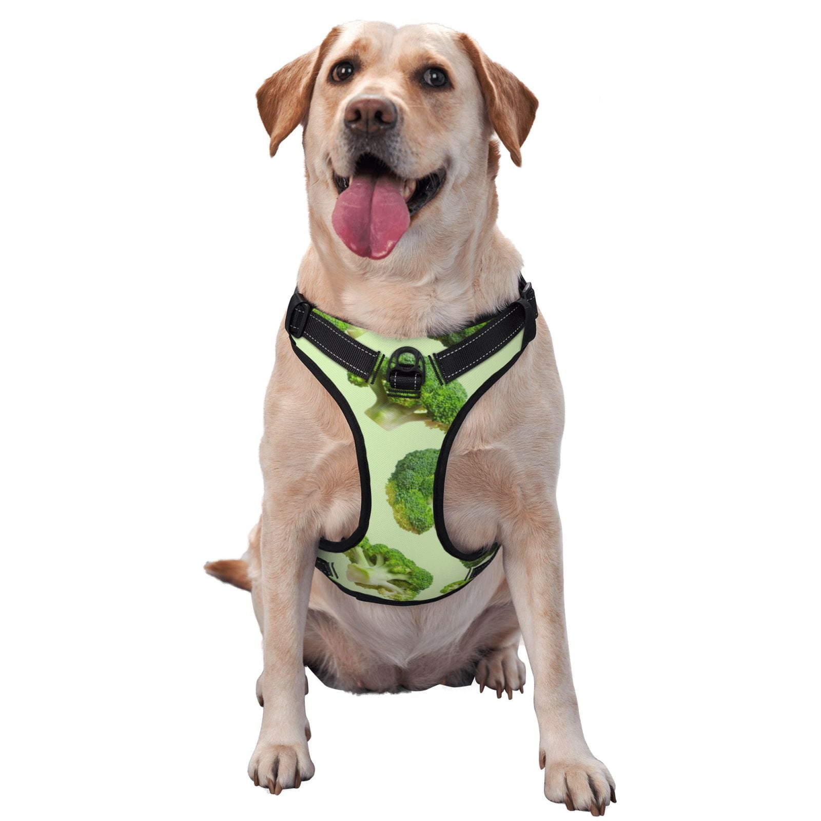 Vsdgher Broccoli 3 Dog Harness, No-Pull Pet Harness, Dog Vest, Pet Vest for Small to Large Dogs-Large