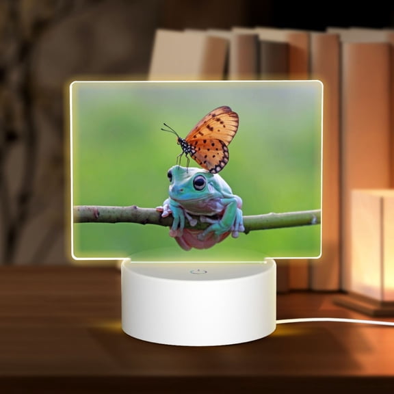 Vsdgher Butterfly Landing On Head Dumpy Frog Rectangular Acrylic Night Light Acrylic Sleep Night Light Friend Gifts for Birthday Gifts for Women Teens Boys Girls