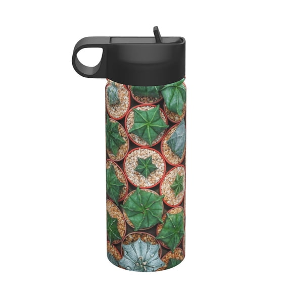 Vsdgher Cactus 4 for Insulated Stainless Steel Water Bottle,18oz Sports Water Bottle Stainless Steel Reusable Tumbler for Sports, Travel, and School