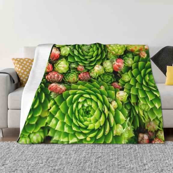 Vsdgher Cactus And Succulents Pattern Fleece Throw Blanket, Horizontal Fleece Bedding Home Decor for Couch & Bed All Season Use -80"x60"