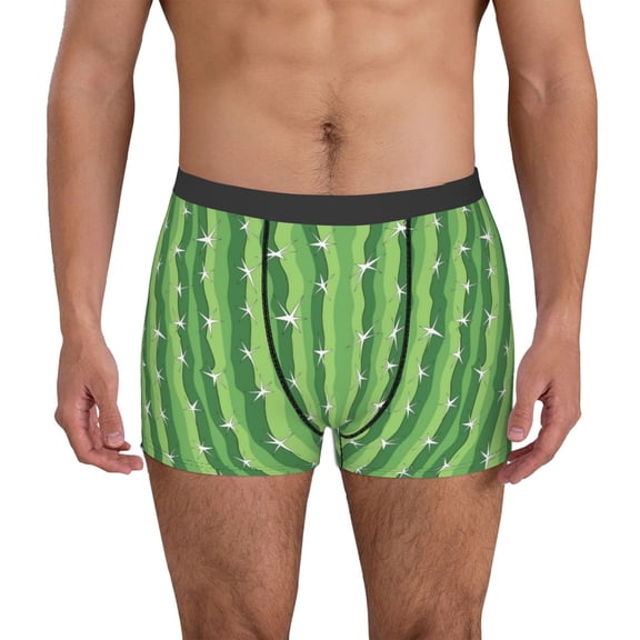 Vsdgher Cactus Pattern Men's Boxer Brief Underwear,Soft Funny Underwear for Men-Medium