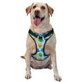 thumbnail image 1 of Vsdgher Cartoon Monster Pattern Dog Harness,No Pull Pet Harness with Soft Padded Handle,Adjustable Reflective Vest with 2 Buckles,4 Slide Buckles,S-XL Small, 1 of 4