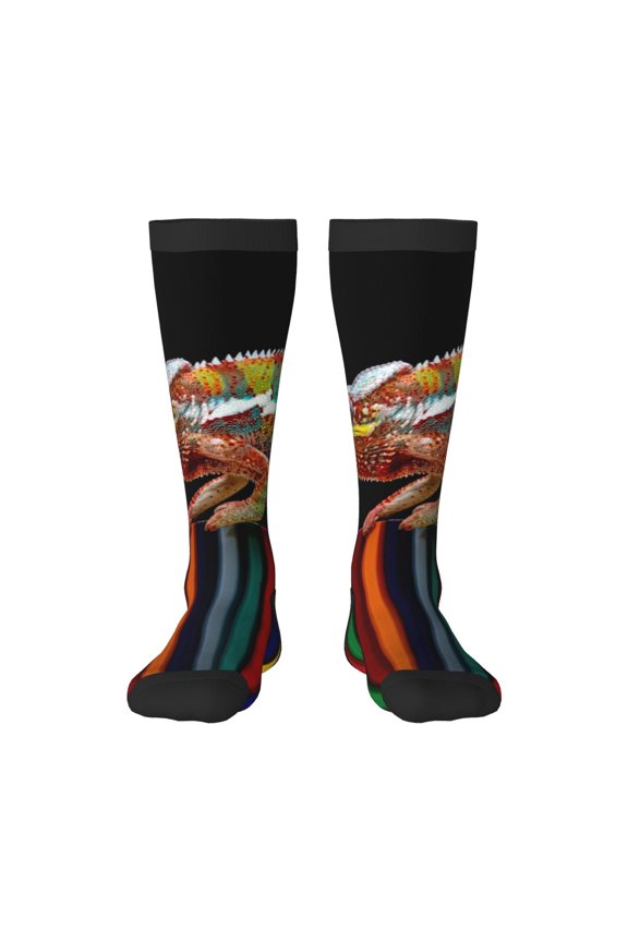 Chameleon Panther On Colored Pencils Knee Socks, High Socks Long Stretchy Sock Women Knee High Stocking, Long Socks for Women