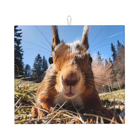 Vsdgher Close-Up Curious Squirrel Print Dish Drying Mat, Kitchen Counter Mat, Dish Drying Pad for Dishes, Utensils, Pots and Pans,16" x 18"