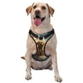 thumbnail image 1 of Vsdgher Cloud Rainbow Winged Dog Pattern Dog Harness,No Pull Pet Harness with Soft Padded Handle,Adjustable Reflective Vest with 2 Buckles,4 Slide Buckles,S-XL, 1 of 4