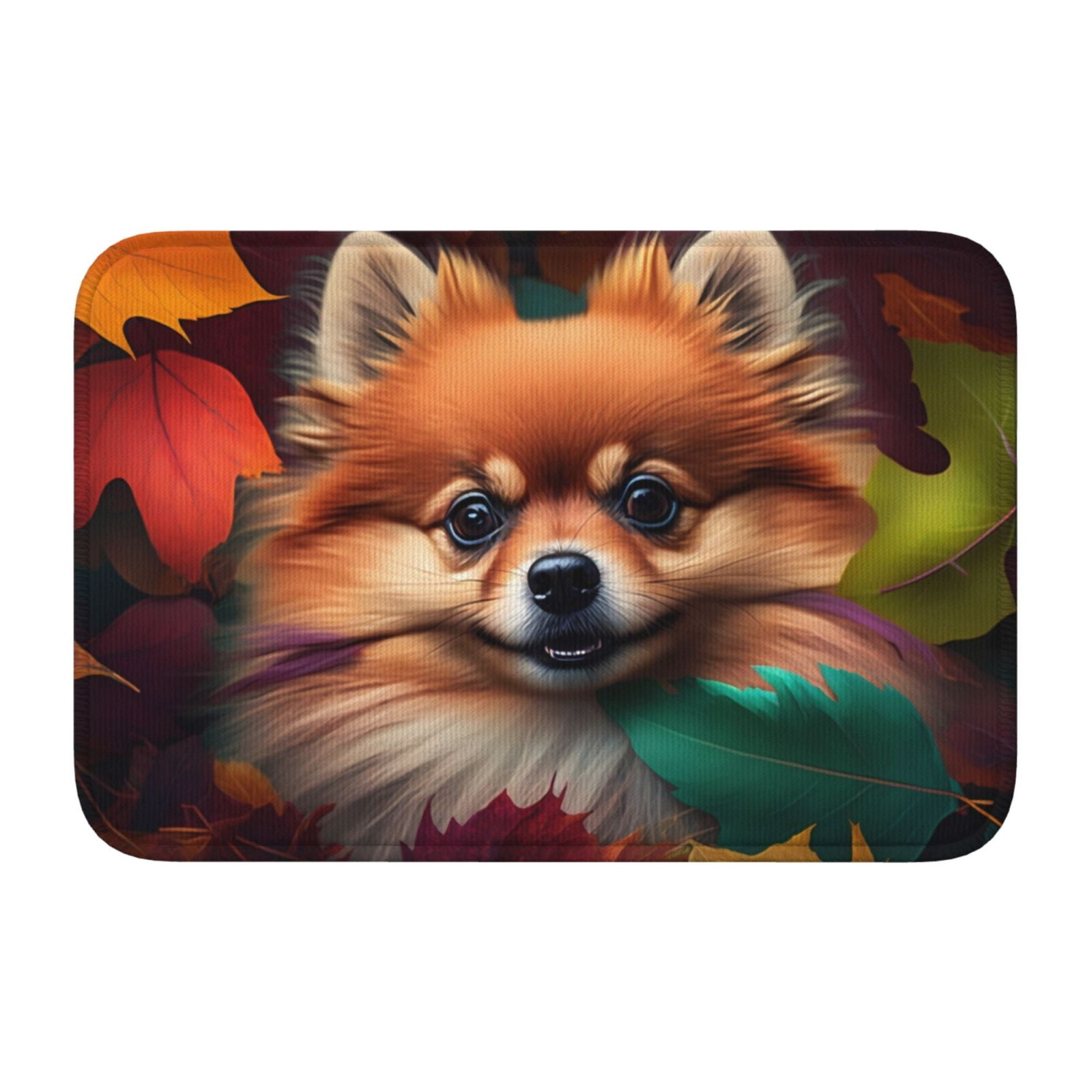 Vsdgher Colorful Leaf Chihuahua Hem Mat 40x60 - Multipurpose Doormat for Indoor & Outdoor Use - Welcome Your Guests with our Entrance Mat