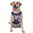 thumbnail image 1 of Vsdgher Cool Lion Head Pattern Dog Harness,No Pull Pet Harness with Soft Padded Handle,Adjustable Reflective Vest with 2 Buckles,4 Slide Buckles,S-XL Large, 1 of 4