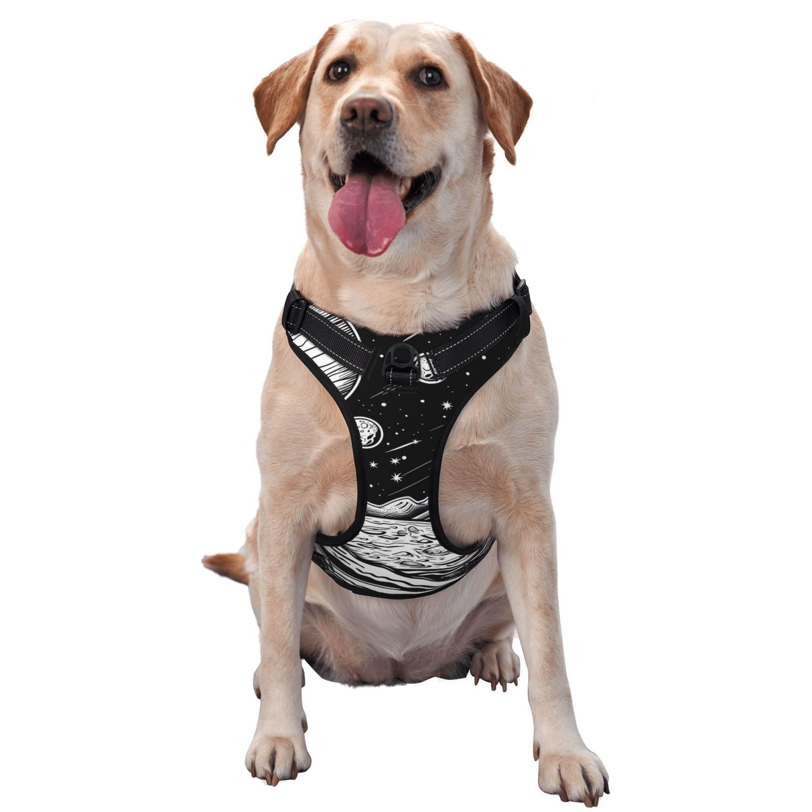 Vsdgher Cosmic Landscape Celestial Art Dog Harness, No-Pull Pet Harness, Dog Vest, Pet Vest for Small to Large Dogs-