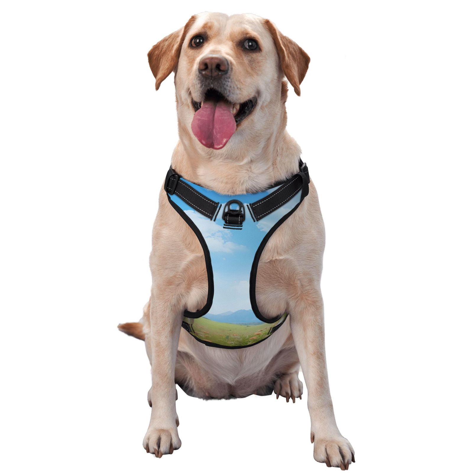 Vsdgher Cow Grazing Nature Dog Harness, No-Pull Pet Harness, Dog Vest, Pet Vest for Small to Large Dogs-Medium