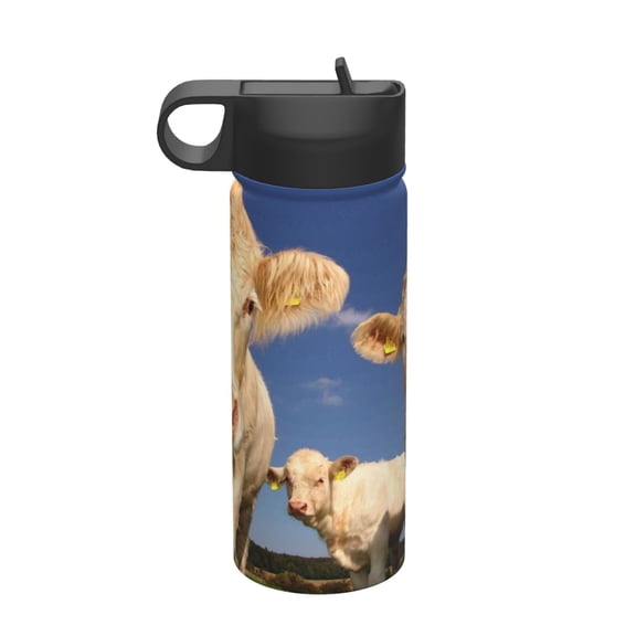 Vsdgher Cows Cattles for Insulated Stainless Steel Water Bottle,18oz Sports Water Bottle Stainless Steel Reusable Tumbler for Sports, Travel, and School