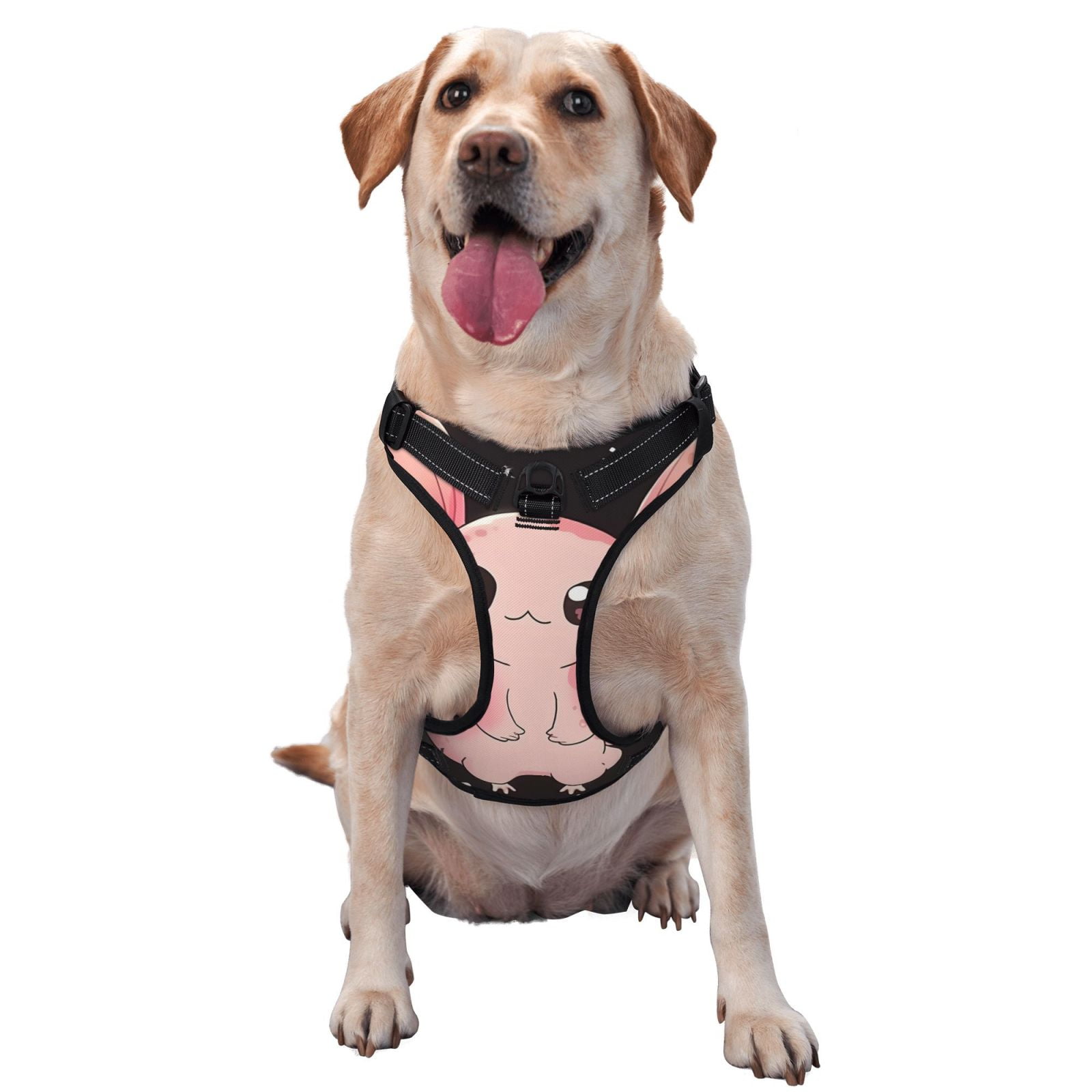 Vsdgher Cute Axolotl Sakura Blossoms B Dog Harness, No-Pull Pet Harness, Dog Vest, Pet Vest for Small to Large Dogs-Large