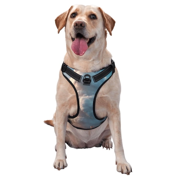 Vsdgher Cute Cloud Cat Pattern Dog Harness,No Pull Pet Harness with Soft Padded Handle,Adjustable Reflective Vest with 2 Buckles,4 Slide Buckles,S-XL X-Large