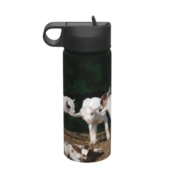 Vsdgher Cute Goat Baby for Insulated Stainless Steel Water Bottle,18oz Sports Water Bottle Stainless Steel Reusable Tumbler for Sports, Travel, and School