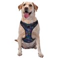 thumbnail image 1 of Vsdgher Cute Line Fish Pattern Dog Harness,No Pull Pet Harness with Soft Padded Handle,Adjustable Reflective Vest with 2 Buckles,4 Slide Buckles,S-XL X-Large, 1 of 4