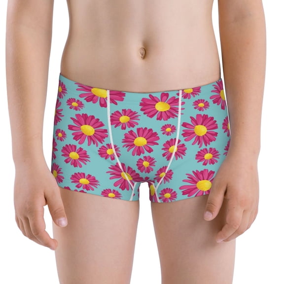 Vsdgher Daisies Flowers Boys' and Toddler Comfort Flex Waistband Boxer Briefs Toddler Cotton Underwear Big Boy Boxer Briefs-Medium