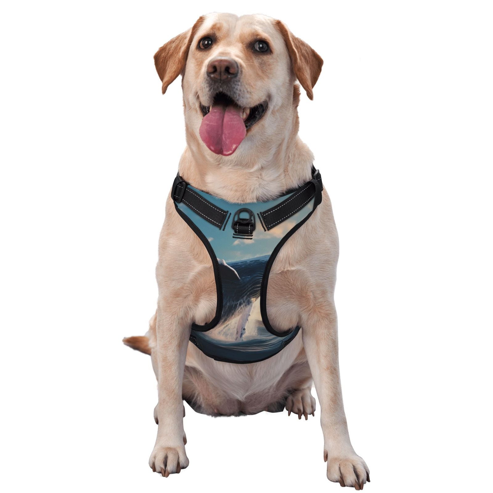 Vsdgher Dancing Whale Pattern Dog Harness,No Pull Pet Harness with Soft Padded Handle,Adjustable Reflective Vest with 2 Buckles,4 Slide Buckles,S-XL