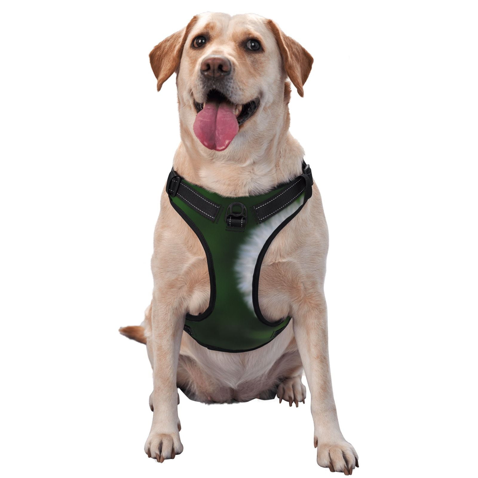 Vsdgher Dandelion Dog Harness, No-Pull Pet Harness, Dog Vest, Pet Vest for Small to Large Dogs-Large