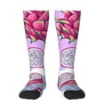 thumbnail image 1 of Vsdgher Dragon Fruit Knee Socks, High Socks Long Stretchy Sock Women Knee High Stocking, Long Socks for Women, 1 of 5