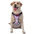 thumbnail image 1 of Vsdgher Dragon Fruit Pattern Dog Harness,No Pull Pet Harness with Soft Padded Handle,Adjustable Reflective Vest with 2 Buckles,4 Slide Buckles,S-XL Large, 1 of 4