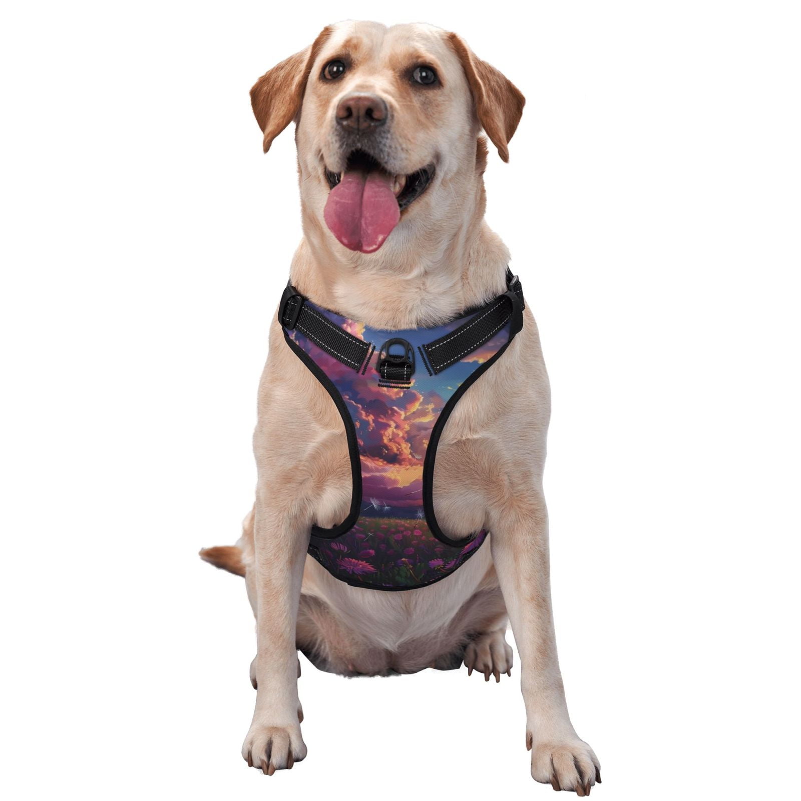 Vsdgher Dreamy Dandelion Sunset Dog Harness, No-Pull Pet Harness, Dog Vest, Pet Vest for Small to Large Dogs-