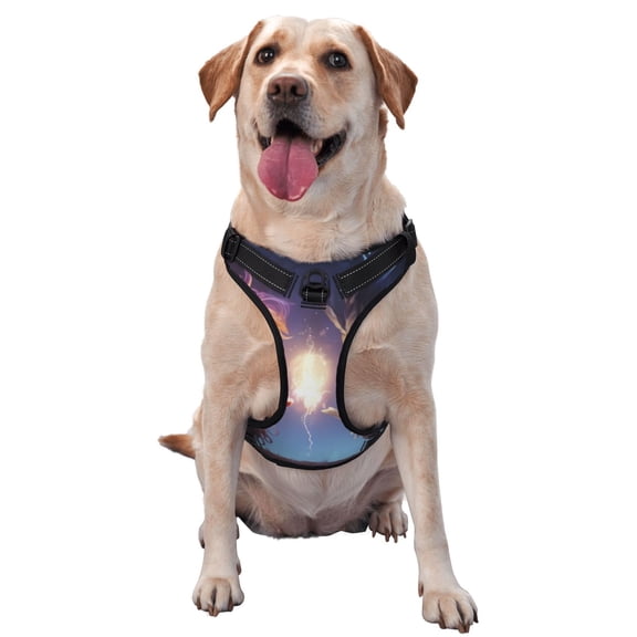 Vsdgher Dreamy Forest Elf Pattern Dog Harness,No Pull Pet Harness with Soft Padded Handle,Adjustable Reflective Vest with 2 Buckles,4 Slide Buckles,S-XL Large