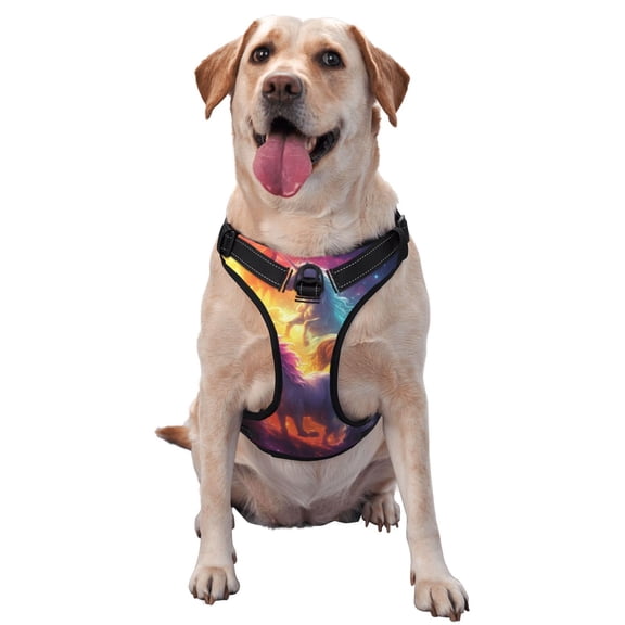 Vsdgher Dreamy Night Sky White Horse Pattern Dog Harness,No Pull Pet Harness with Soft Padded Handle,Adjustable Reflective Vest with 2 Buckles,4 Slide Buckles,S-XL Large