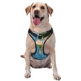 thumbnail image 1 of Vsdgher Earth View World Map Pattern Dog Harness,No Pull Pet Harness with Soft Padded Handle,Adjustable Reflective Vest with 2 Buckles,4 Slide Buckles,S-XL Medium, 1 of 5