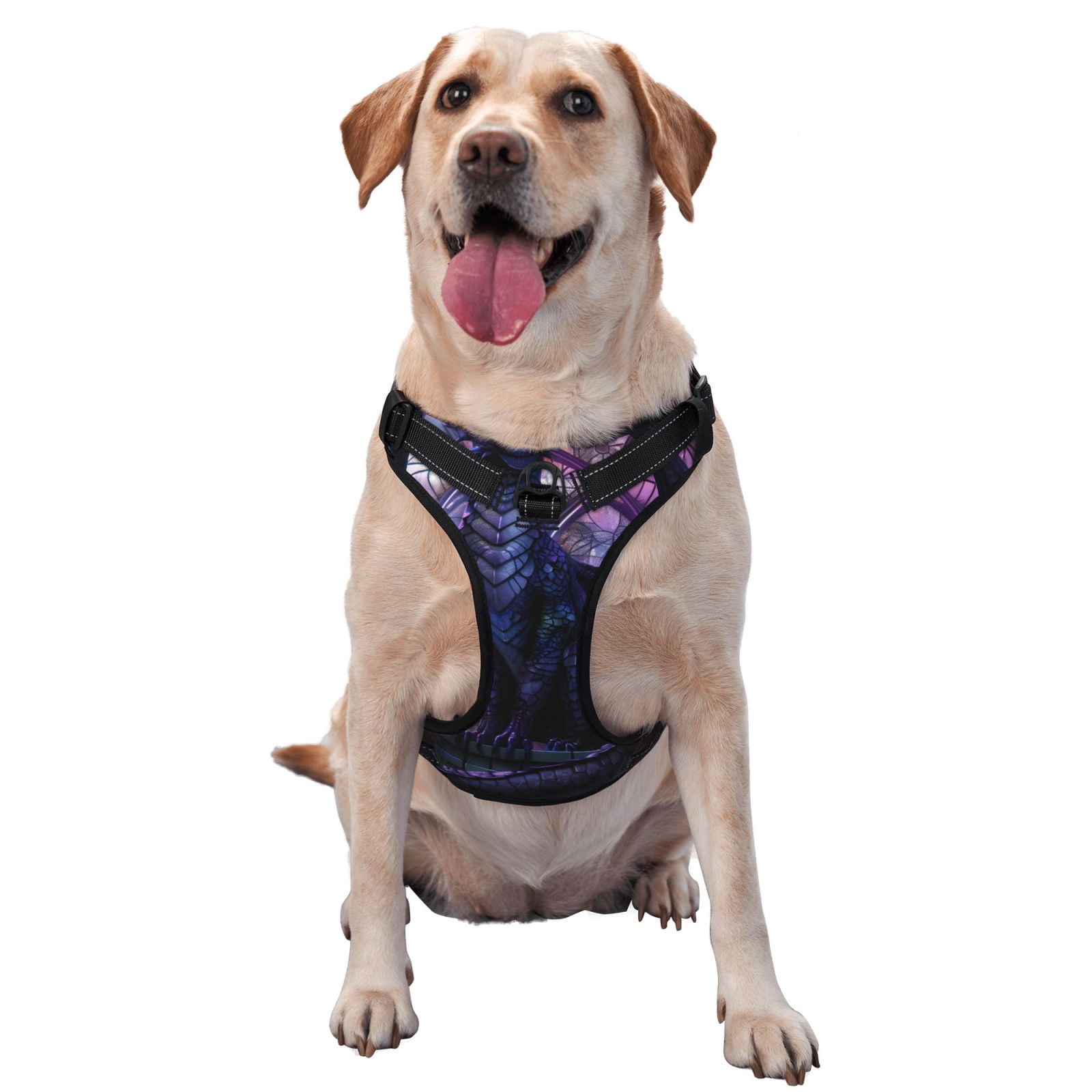 Vsdgher Fantasy Dragon In Cathedral Dog Harness, No-Pull Pet Harness, Dog Vest, Pet Vest for Small to Large Dogs-X-Large