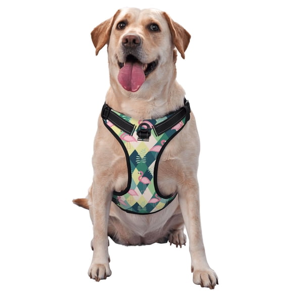 Vsdgher Flamingo Pattern Dog Harness,No Pull Pet Harness with Soft Padded Handle,Adjustable Reflective Vest with 2 Buckles,4 Slide Buckles,S-XL Small