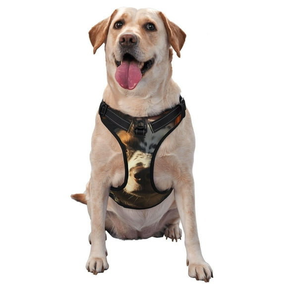 Vsdgher Flower Crown Dog Pattern Dog Harness,No Pull Pet Harness with Soft Padded Handle,Adjustable Reflective Vest with 2 Buckles,4 Slide Buckles,S-XL Large