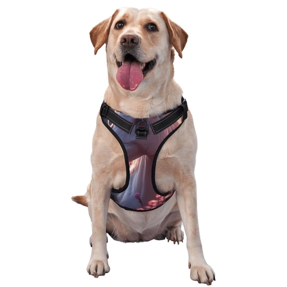 Vsdgher Flower White Horse Pattern Dog Harness,No Pull Pet Harness with Soft Padded Handle,Adjustable Reflective Vest with 2 Buckles,4 Slide Buckles,S-XL X-Large
