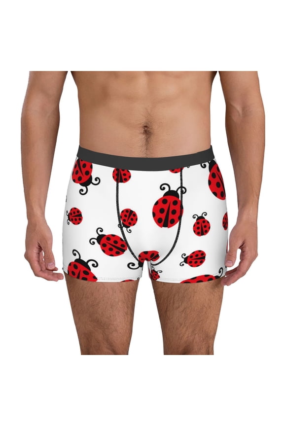 Fly Flying Ladybug Pattern Men's Boxer Brief Underwear,Soft Funny Underwear for Men-Large