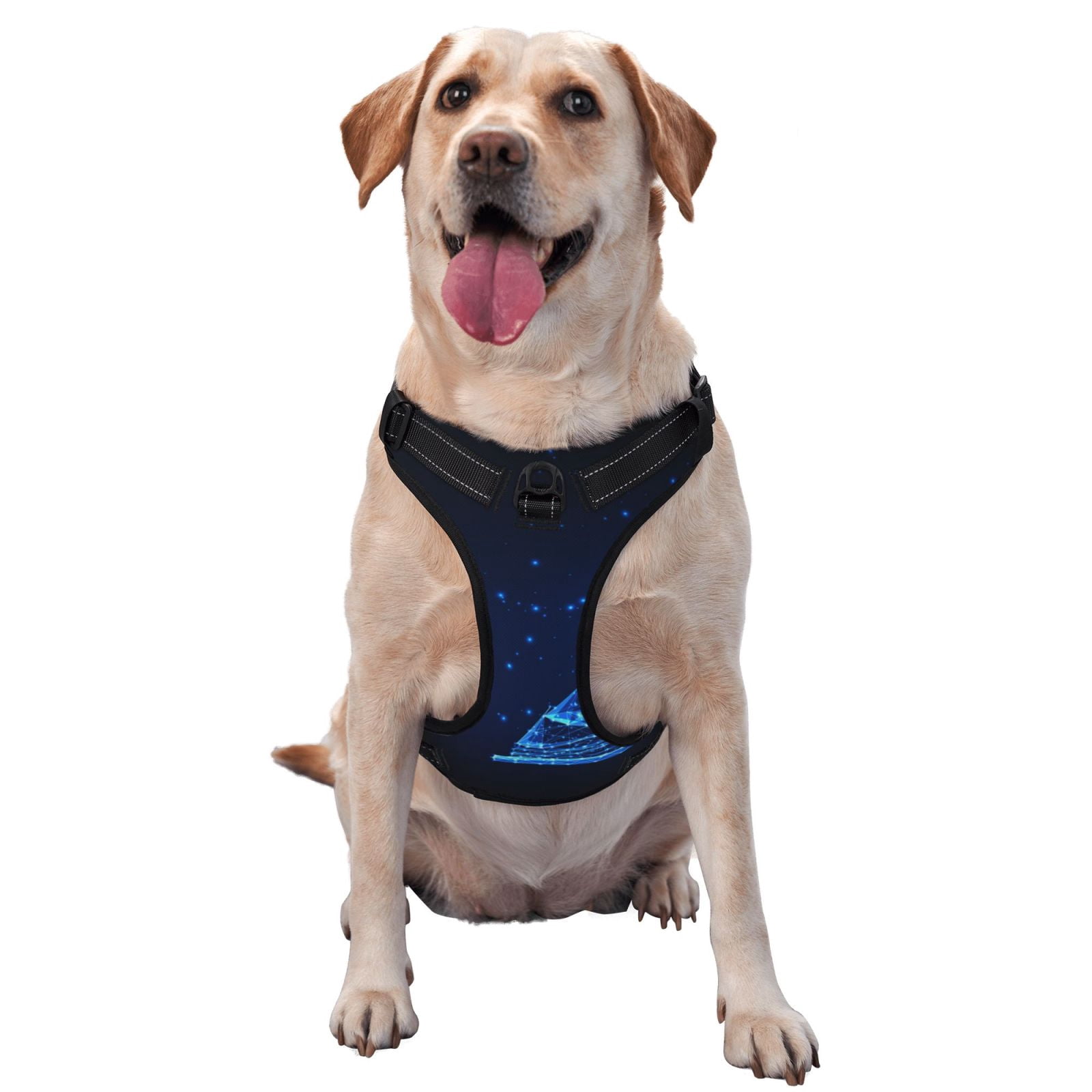 Vsdgher Futuristic Book Knowledge Dog Harness, No-Pull Pet Harness, Dog Vest, Pet Vest for Small to Large Dogs-Small