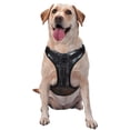 thumbnail image 1 of Vsdgher Gloomy Mansion Forest Scene Dog Harness, No-Pull Pet Harness, Dog Vest, Pet Vest for Small to Large Dogs-Small, 1 of 6