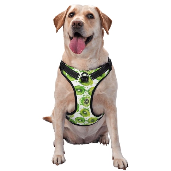 Vsdgher Green Kiwi Pattern Dog Harness,No Pull Pet Harness with Soft Padded Handle,Adjustable Reflective Vest with 2 Buckles,4 Slide Buckles,S-XL
