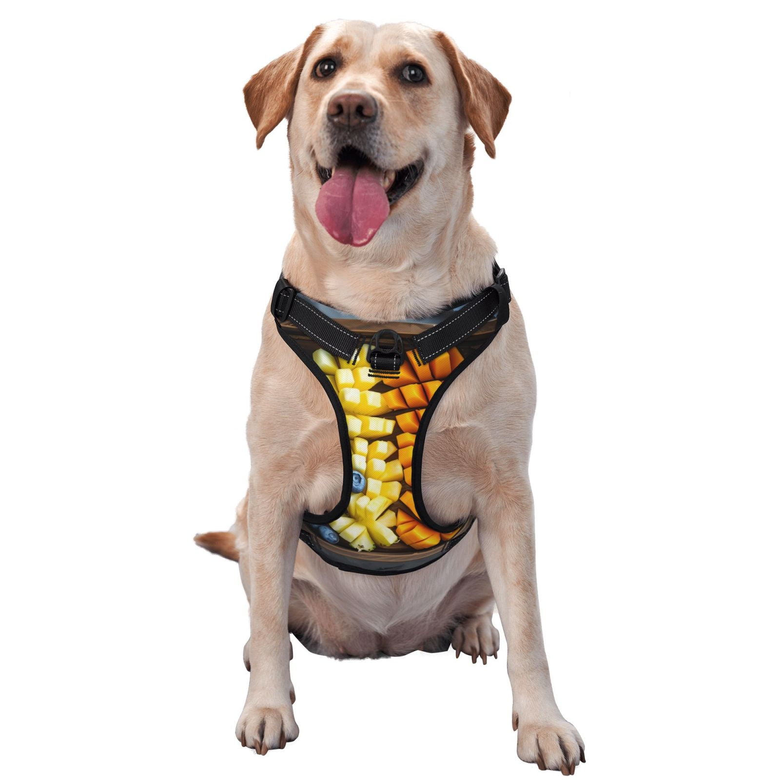 Vsdgher Halloween Fruit Platter Dog Harness, No-Pull Pet Harness, Dog Vest, Pet Vest for Small to Large Dogs-X-Large