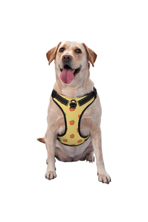 Hand Drawn Strawberry Pattern Dog Harness,No Pull Pet Harness with Soft Padded Handle,Adjustable Reflective Vest with 2 Buckles,4 Slide Buckles,S-XL Medium