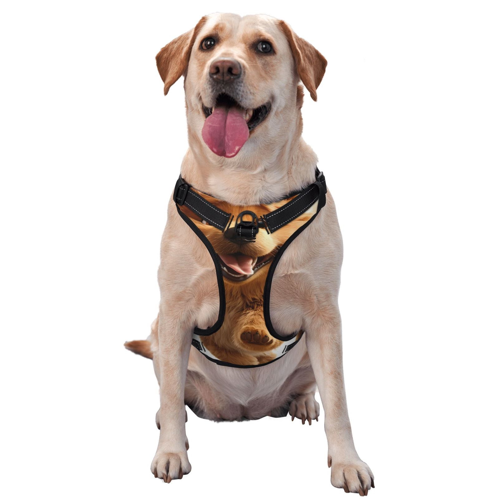 Vsdgher Happy Fluffy Running Dog Dog Harness, No-Pull Pet Harness, Dog Vest, Pet Vest for Small to Large Dogs-