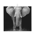 thumbnail image 1 of Vsdgher Indian Elephant Print Dish Drying Mat, Kitchen Counter Mat, Dish Drying Pad for Dishes, Utensils, Pots and Pans,16" x 18", 1 of 8
