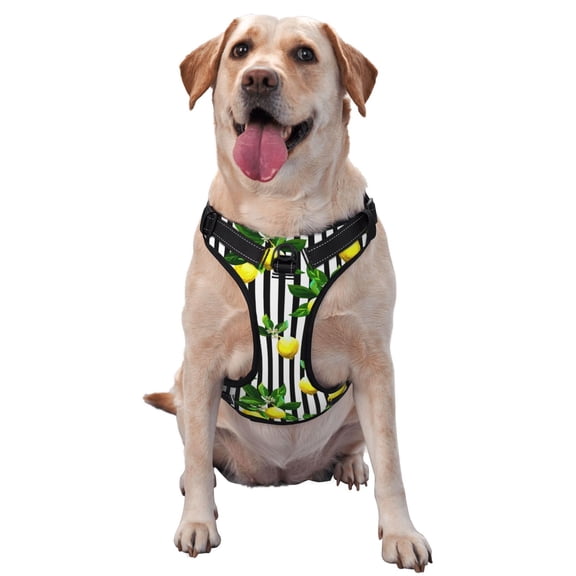 Vsdgher Lemons on Striped Pattern Dog Harness,No Pull Pet Harness with Soft Padded Handle,Adjustable Reflective Vest with 2 Buckles,4 Slide Buckles,S-XL Small