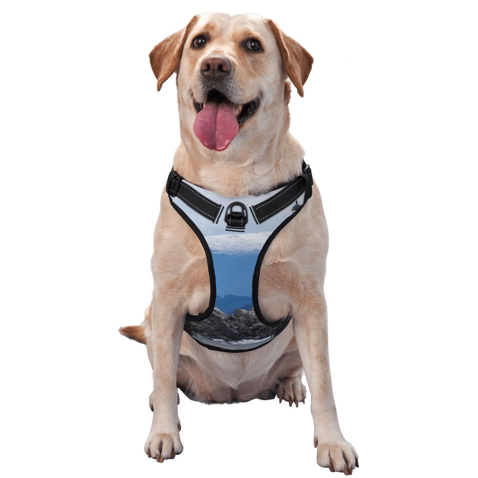 Vsdgher Lighthouse On The Waters Pattern Dog Harness,No Pull Pet Harness with Soft Padded Handle,Adjustable Reflective Vest with 2 Buckles,4 Slide Buckles,S-XL Medium