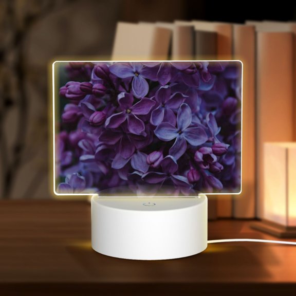 Vsdgher Lilac Rectangular Acrylic Night Light Acrylic Sleep Night Light Friend Gifts for Birthday Gifts for Women Teens Boys Girls