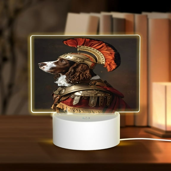 Vsdgher Medieval Knight Dog Rectangular Acrylic Night Light Acrylic Sleep Night Light Friend Gifts for Birthday Gifts for Women Teens Boys Girls