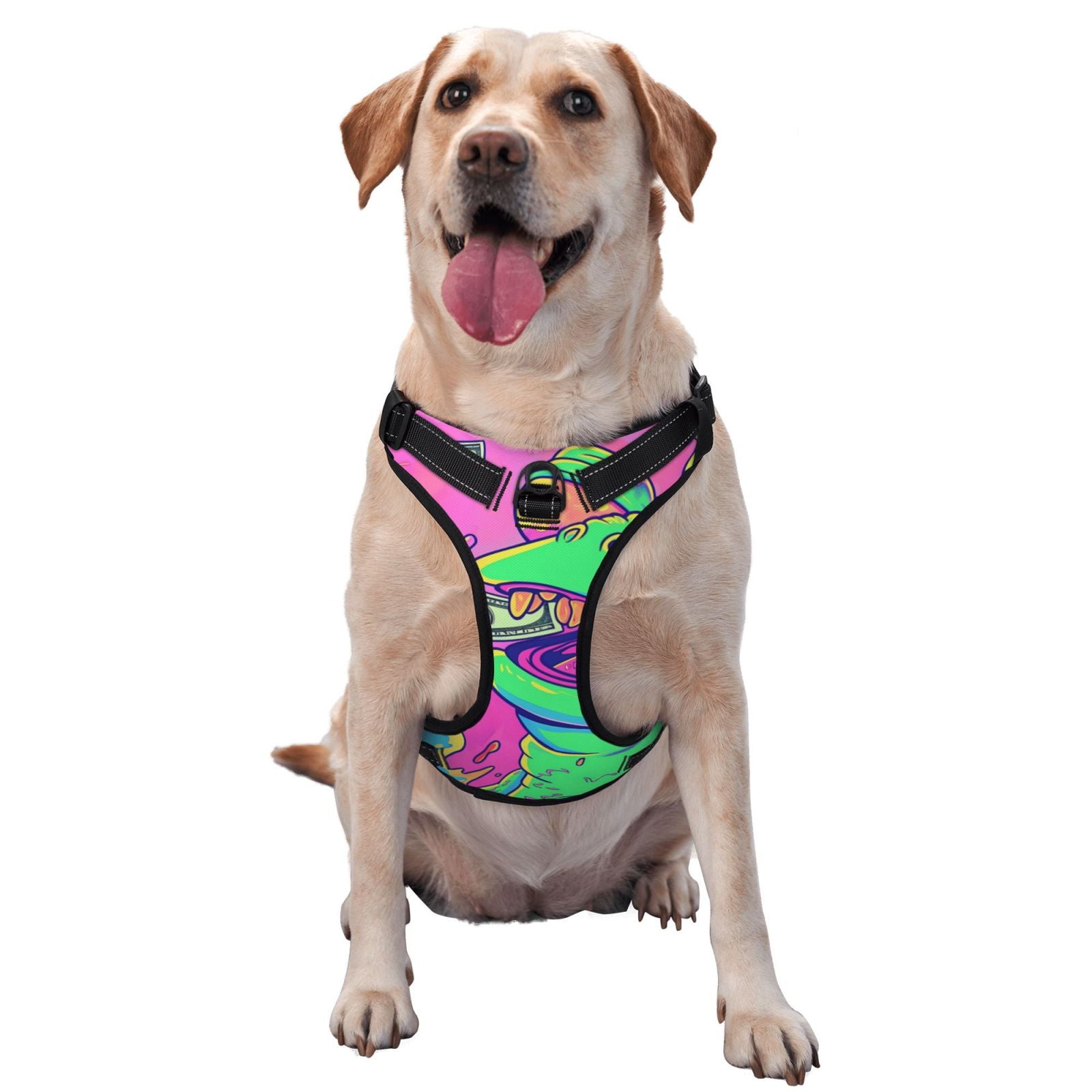 Vsdgher Psychedelic Cartoon Frog Dog Harness, No-Pull Pet Harness, Dog Vest, Pet Vest for Small to Large Dogs-Small
