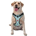 thumbnail image 1 of Vsdgher Modern Ice Cream Pattern Dog Harness,No Pull Pet Harness with Soft Padded Handle,Adjustable Reflective Vest with 2 Buckles,4 Slide Buckles,S-XL Small, 1 of 4