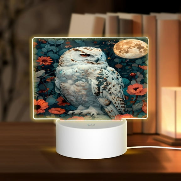 Vsdgher Moon Flower White Owl Rectangular Acrylic Night Light Acrylic Sleep Night Light Friend Gifts for Birthday Gifts for Women Teens Boys Girls