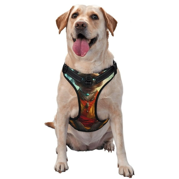 Vsdgher Moonlit Hairless Cat Monk Pattern Dog Harness,No Pull Pet Harness with Soft Padded Handle,Adjustable Reflective Vest with 2 Buckles,4 Slide Buckles,S-XL Medium